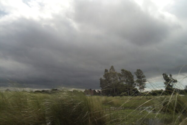 weather alert