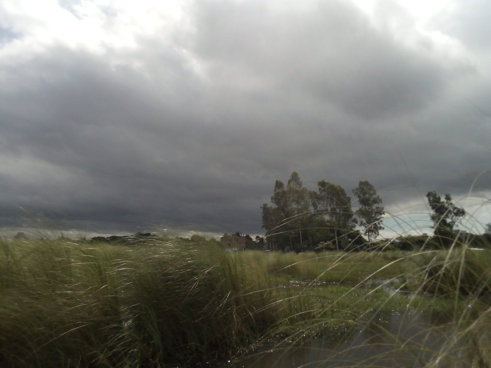 weather alert