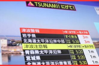 japan earthquake